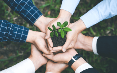 Tout savoir sur la RSE (responsabilité sociale des entreprises)